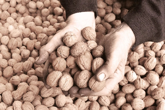 Gaec du Rocher